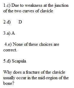 Activity 8